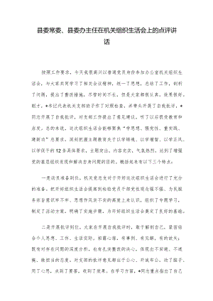 县委常委、县委办主任在机关组织生活会上的点评讲话.docx