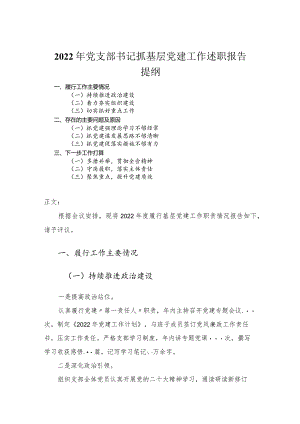 2022年党支部书记抓基层党建工作述职报告.docx