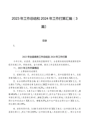 （3篇）2023年工作总结和2024年工作打算汇编.docx