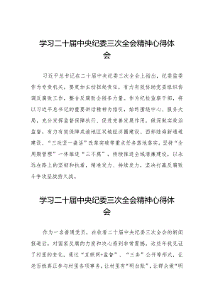 学习贯彻二十届中央纪委三次全会精神的心得体会简短发言稿(25篇).docx