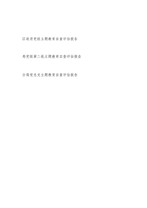 党组党总支2023年度第一二批以学铸魂、以学增智、以学正风、以学促干专题自查评估报告3篇.docx