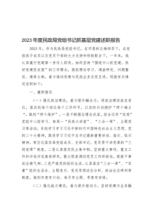 2023年度民政局党组书记抓基层党建述职报告.docx