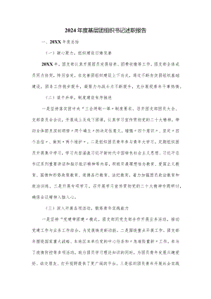 2024年度基层团组织书记述职报告.docx