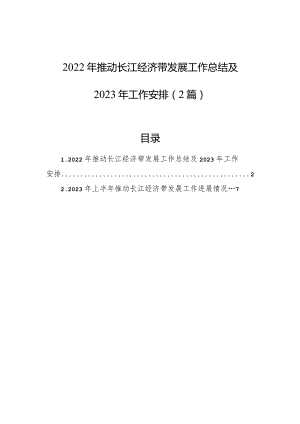 2022年推动长江经济带发展工作总结及2023年工作安排（2篇）.docx