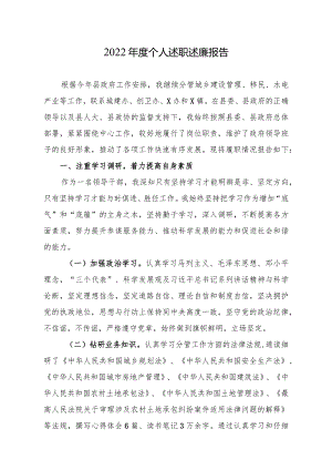 2022年度个人述职述廉报告.docx