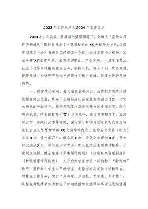 2023年工作总结及2024年工作计划.docx