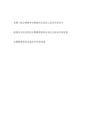 领导以普通党员身份参加2024年某单位第二批主题教育专题组织生活会上的点评讲话.docx