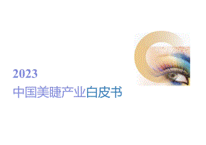 2023中国美睫产业白皮书.docx