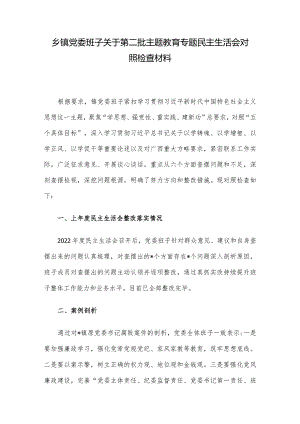 乡镇党委班子关于第二批主题教育专题民主生活会对照检查材料.docx