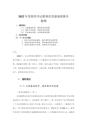 2022年党组织书记抓基层党建述职报告.docx