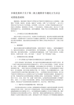 乡镇党委班子关于第二批主题教育专题民主生活会对照检查材料.docx