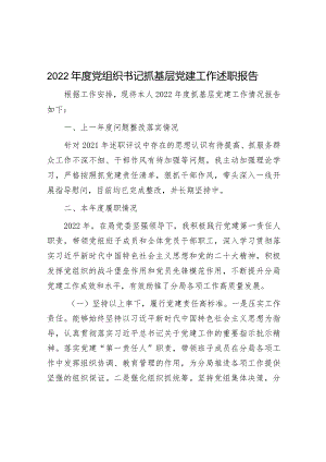 2022年度党组织书记抓基层党建工作述职报告.docx