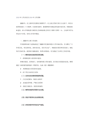 2023年工作总结及2024年工作思路.docx