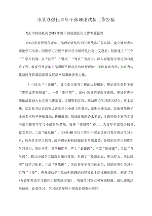2022年市某办强化青年干部理论武装工作经验.docx