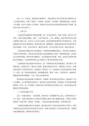 2023年市统计局工作总结及下一步工作计划.docx