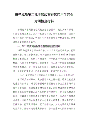 班子成员第二批主题教育民主生活会对照检查材料.docx