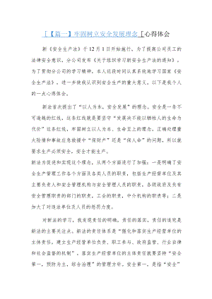 牢固树立安全发展理念心得体会六篇.docx