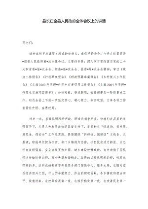 县长在全县人民政府全体会议上的讲话.docx