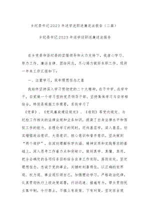 乡纪委书记2023年述学述职述廉述法报告(二篇).docx