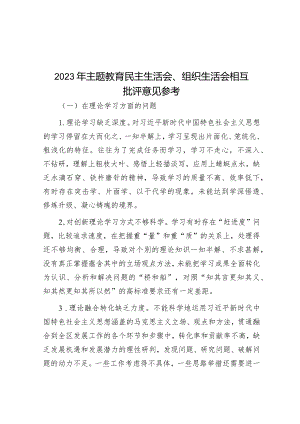 2023年主题教育民主生活会、组织生活会相互批评意见参考.docx