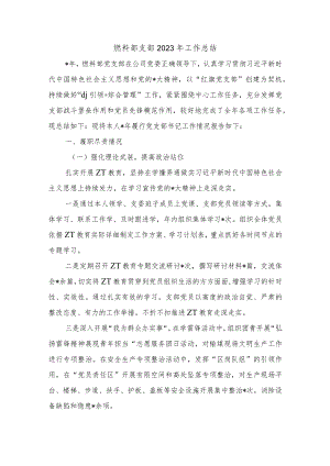 燃料部支部2023年工作总结.docx