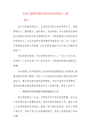 支部主题教育整改落实情况的报告三篇.docx