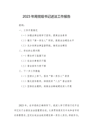 2023年局党组书记述法工作报告.docx