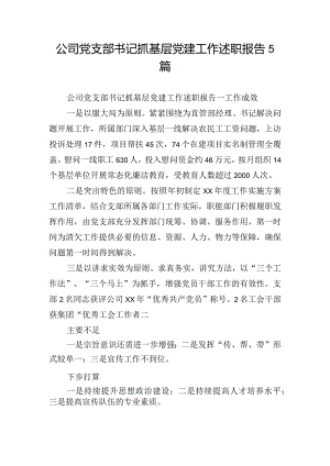 公司党支部书记抓基层党建工作述职报告5篇.docx