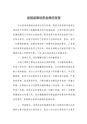 2023巡视巡察动员会表态发言.docx