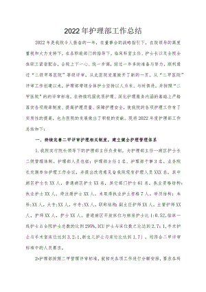 2022年护理部工作总结.docx