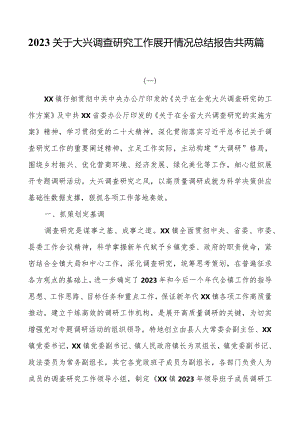 2023关于大兴调查研究工作开展情况总结报告共两篇.docx