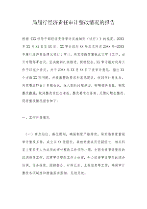 局履行经济责任审计整改情况的报告.docx