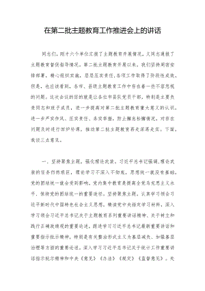 在第二批主题教育工作推进会上的讲话.docx