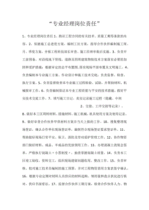 -专业经理岗位责任-.docx