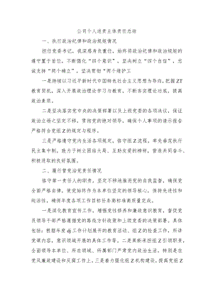 公司个人述责主体责任总结.docx