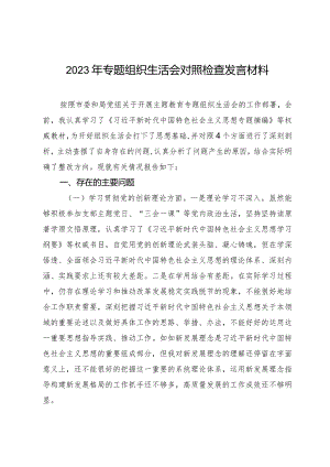 2023-2024年专题组织生活会四个方面检视个人对照检查发言材料（创新理论+党性修养+服务群众+先锋模范作用）.docx