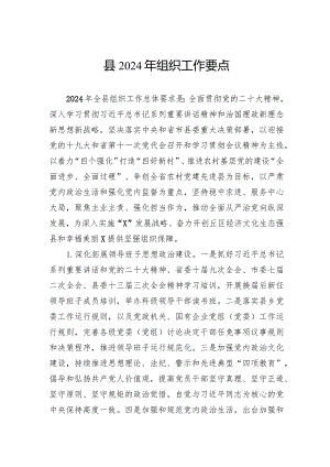 县2024年组织工作要点.docx