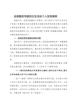 学校纪委书记巡视整改专题民主生活会个人发言提纲.docx