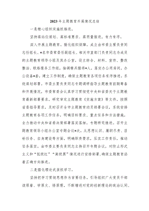 2023年主题教育开展情况总结.docx