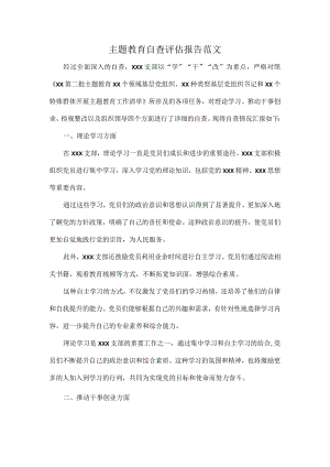 主题教育自查评估报告范文.docx