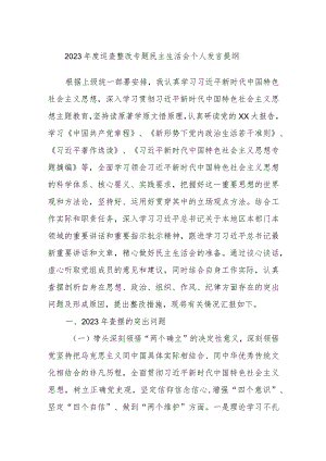 2023年度巡查整改专题民主生活会个人发言提纲.docx