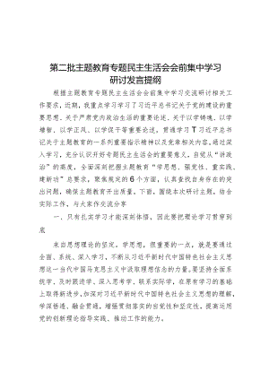 2023年主题教育专题民主生活会会前集中学习研讨发言提纲.docx