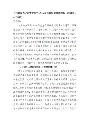 国企党委书记在党支部书记2023年度抓党建述职会上的讲话.docx