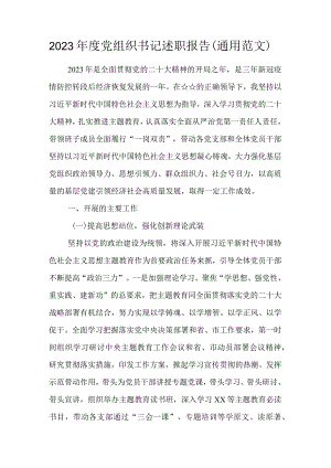 2023年度党组织书记述职报告（通用范文）.docx