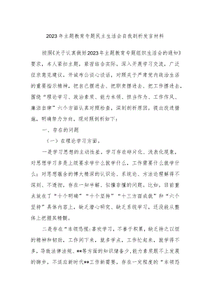 2023年主题教育专题民主生活会自我剖析发言材料.docx