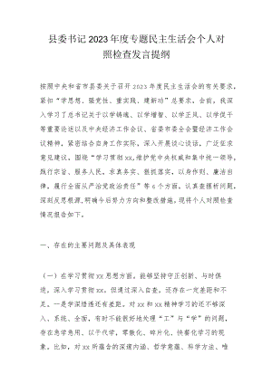 县委书记2023年度专题民主生活会个人对照检查发言提纲.docx