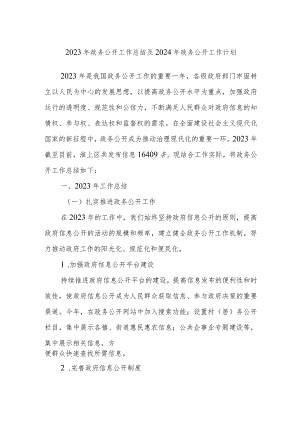 2023年政务公开工作总结及2024年政务公开工作计划.docx