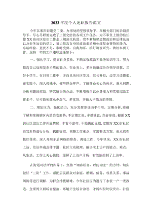 2023年度个人述职报告范文2.docx