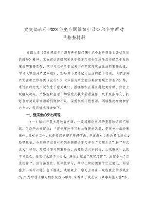 党支部班子2023-2024年度专题组织生活会六个方面班子对照检查材料.docx