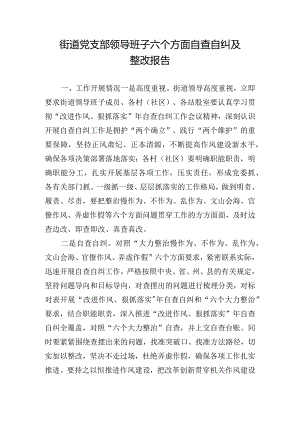 街道党支部领导班子六个方面自查自纠及整改报告.docx